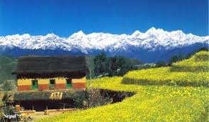 NEP0239 Kathmandu- Pokhara- Chitwan