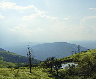 NEP0194 Bangalore-Mysore-Ooty-Bandipur-Bangalore
