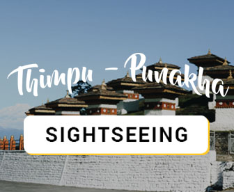 NES0016 Thimphu - Punakha Sightseeing