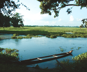NEP0063 Guwahati - Cherrapunji - Mawlynnong - Kaziranga - Majuli