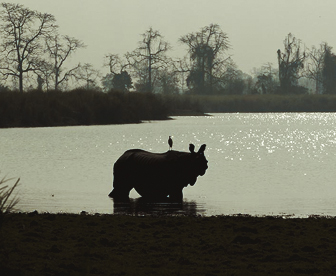 NEP0070 Guwahaati - Kaziranga - Shillong - Cherrapunji - Mawlynnong