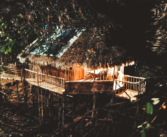 NEP0081 Shillong - Cherrapunjee - Mawlynnong - Kaziranga