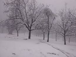 NEP0247 Srinagar-Kupwara-Srinagar