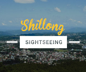 NES0003  Shillong Sightseeing