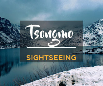 NES0002 Tsongmo Lake & Baba Mandir Sightseeing