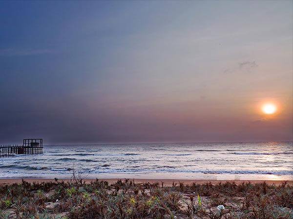 NES0110 Nellore Sightseeing