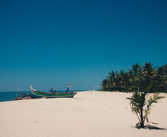 NEP0121 Munnar-Thekkady-Alleppey-Mararikulam