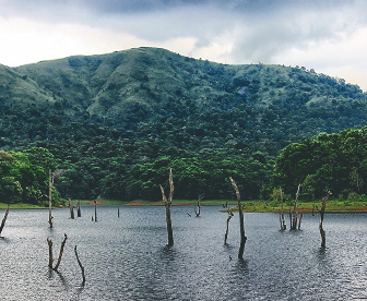 NEP0122 Munnar-Thekkady-Kottayam-Alleppey