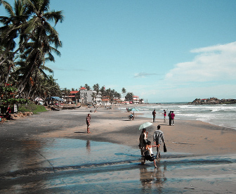 NEP0107 Cochin - Munnar -Thekkady- Alleppey - Kovalam