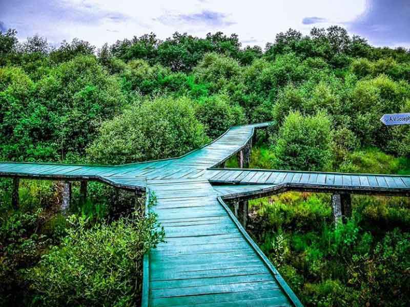 NES0124 Coringa wildlife sanctuary Sightseeing
