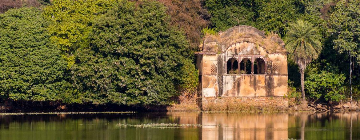 NEP0363 Jaipur-Ranthambore-Pushkar-Jodhpur