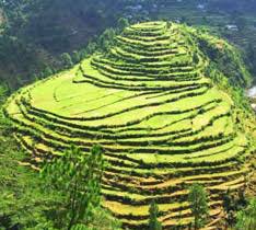 NEP0266 Nainital-Ranikhet-Jim Corbett