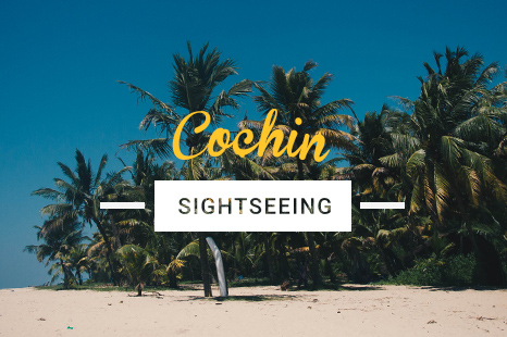 NES0030 Cochin Sightseeing